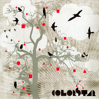 Roam the Land - Colorstar