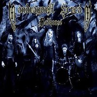 Dark Lantern - Mandragora Scream