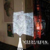 Edinburgh - Woodpigeon