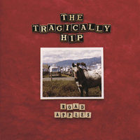 Born In The Water - The Tragically Hip