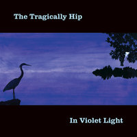All Tore Up - The Tragically Hip
