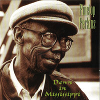 Five Long Years - Pinetop Perkins