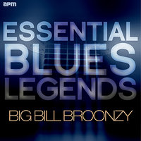 Whisky and Good Time Blues - Big Bill Broonzy