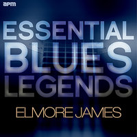 My Bleeding Heart - Elmore James