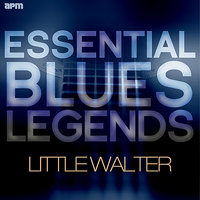 Boom Boom, Out Go the LIghts - Little Walter