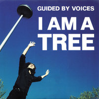 (I'll Name You) The Flame That Cries - Guided By Voices