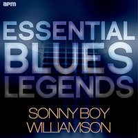 Let Your Conscience Be Your Guide - Sonny Boy Williamson