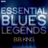 Gotta Fine My Baby - B.B. King