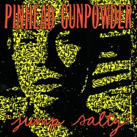 Big Yellow Taxi - Pinhead Gunpowder