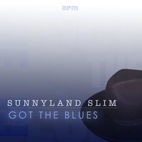 Vicksburg Blues - Sunnyland Slim