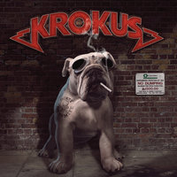 Go Baby Go - Krokus