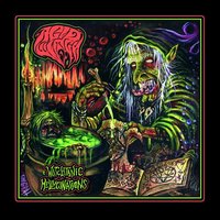 Swamp Spells - Acid Witch