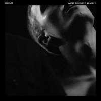 What You Need - Goose, Digitalism