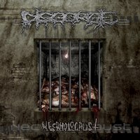 Macabre Realms of Inhuman Bestiality - Disgorge