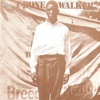 Wichita Fall Blues - T-Bone Walker