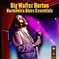 Need My Baby - Big Walter Horton