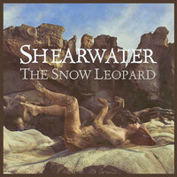 North Col - Shearwater