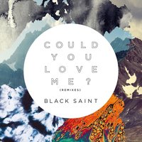 Could You Love Me? - Black Saint, Franky Rizardo