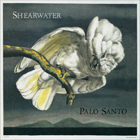 Special Rider Blues - Shearwater