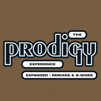 Ruff In The Jungle Bizness - The Prodigy