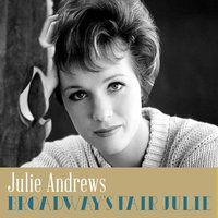 I Did'nt Know What Time It Was - Julie Andrews