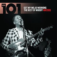 Got My Mojo Working (Part 1) - Muddy Waters