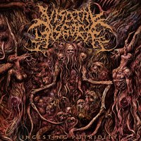 Ball-Gagged and Gutted - Visceral Disgorge