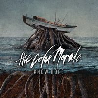 Hole Hearted - The Color Morale