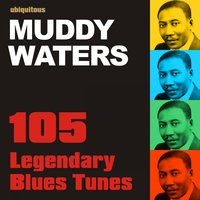 She 's All Right - Muddy Waters