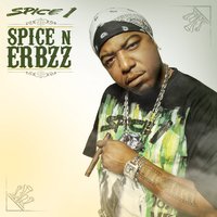 Smoke em Like a Blunt - Spice 1