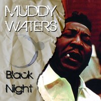 My Love Strikes Like Lightning - Muddy Waters