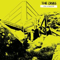 Don't You Wanna Be Relevant? - The Cribs