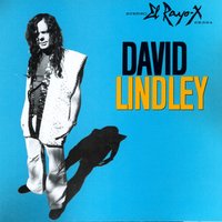 Pay the Man - David Lindley