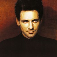 Say We'll Meet Again - Lindsey Buckingham