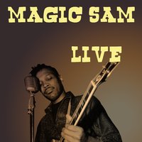 I Just Got to Know - Magic Sam