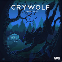 Swimming in the Flood - Crywolf