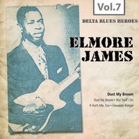 The 12 Year Old Boy - Elmore James