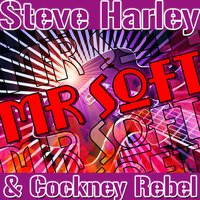 Mr. Raffles (Man It Was Mean) - Steve Harley, Cockney Rebel