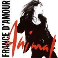 Animal - France D'Amour