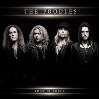 40 Days and 40 Nights - The Poodles