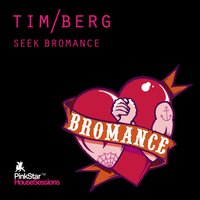 Seek Bromance - Tim Berg, Samuele Sartini