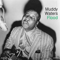 Rollin' & Tumblin' - Muddy Waters