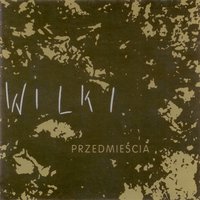 Crazy Summer - Wilki