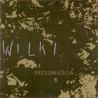 Moja "Baby" - Wilki