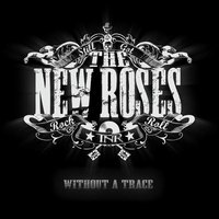 More Than a Flower - The New Roses