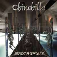 Satellite - Chinchilla