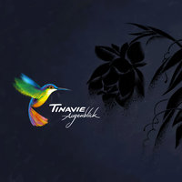 Invisible - Tinavie