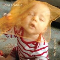 Boogie Stupid - John Scofield