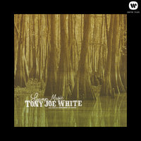 What Does It Take (To Win Your Love) - Tony Joe White