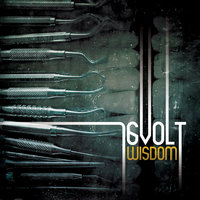 Wisdom - 16Volt